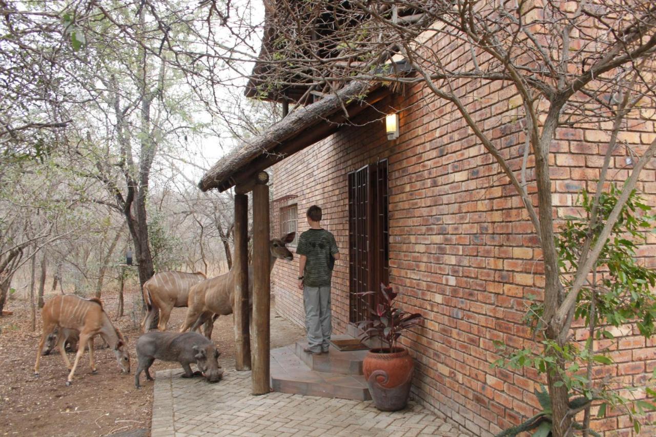 Hakuna Matata Marloth Park Exterior photo